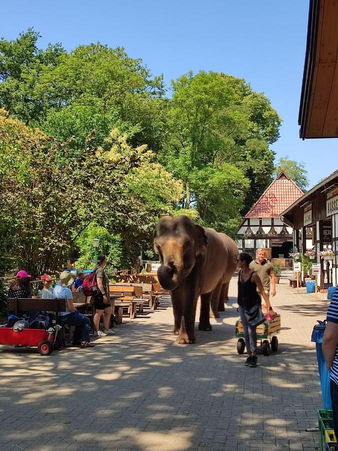 Tierpark Entdeckerhaeuser Wagenfeld Ngoại thất bức ảnh