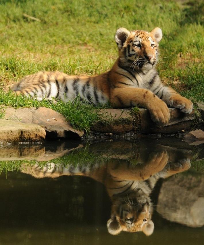 Tierpark Entdeckerhaeuser Wagenfeld Ngoại thất bức ảnh